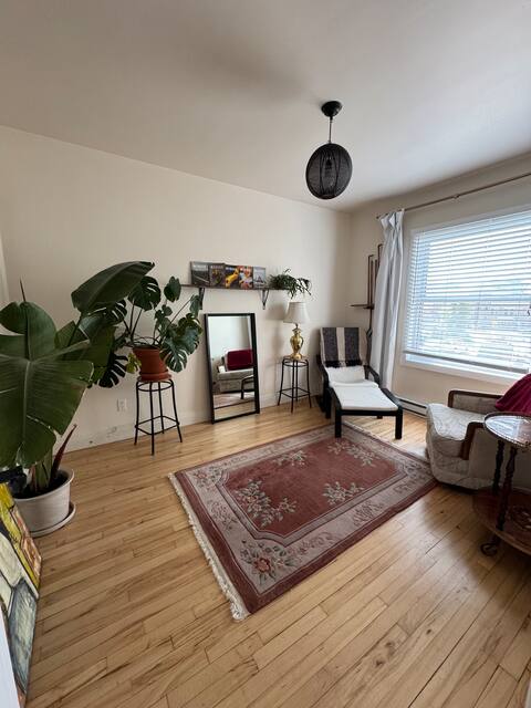 Top performing Airbnb: Beautiful apartment, well lit and quiet. in Villeray–Saint Michel–Parc Extension