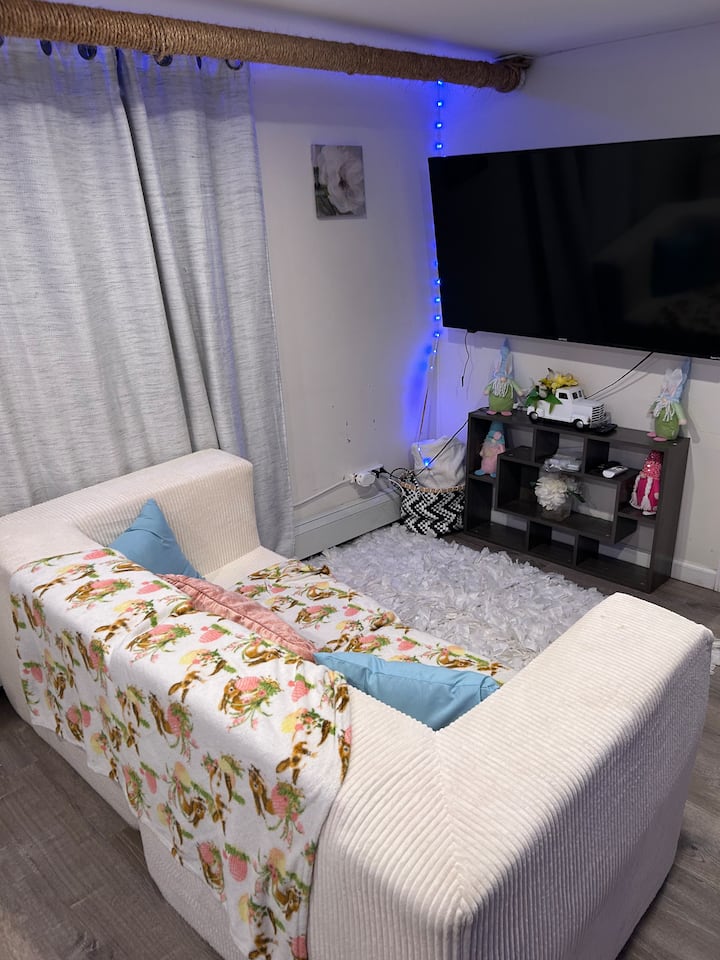 Private 1br Apt Near Nyc | Walk To Bus - Wakefield - Bronx NY
