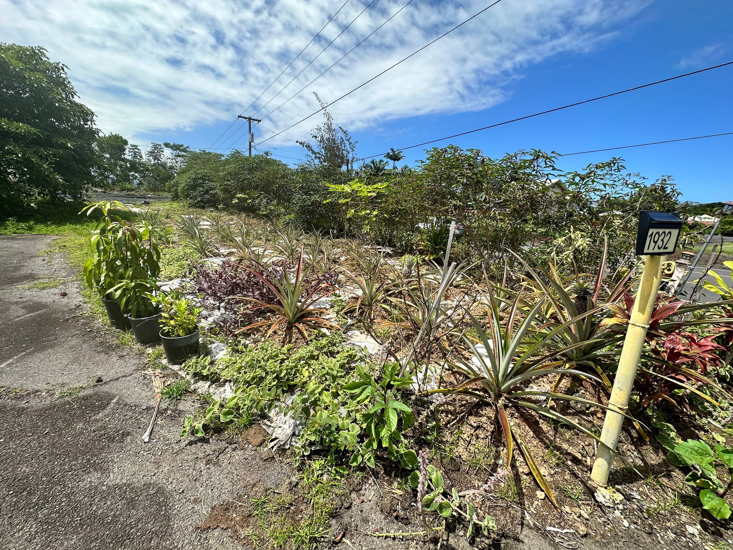 Rainbow Ohana Unit 2 - Photo 26