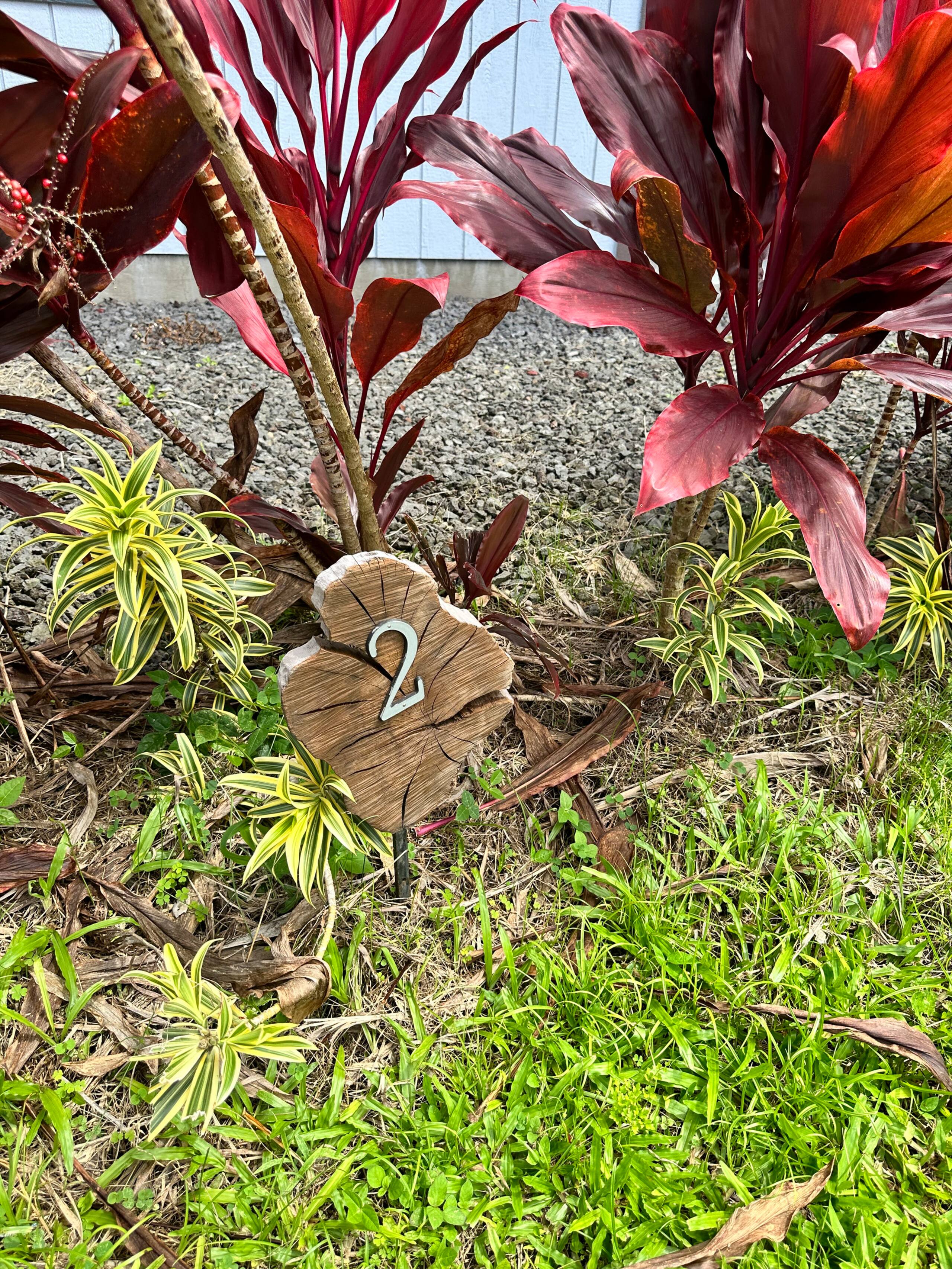 Rainbow Ohana Unit 2 - Photo 25