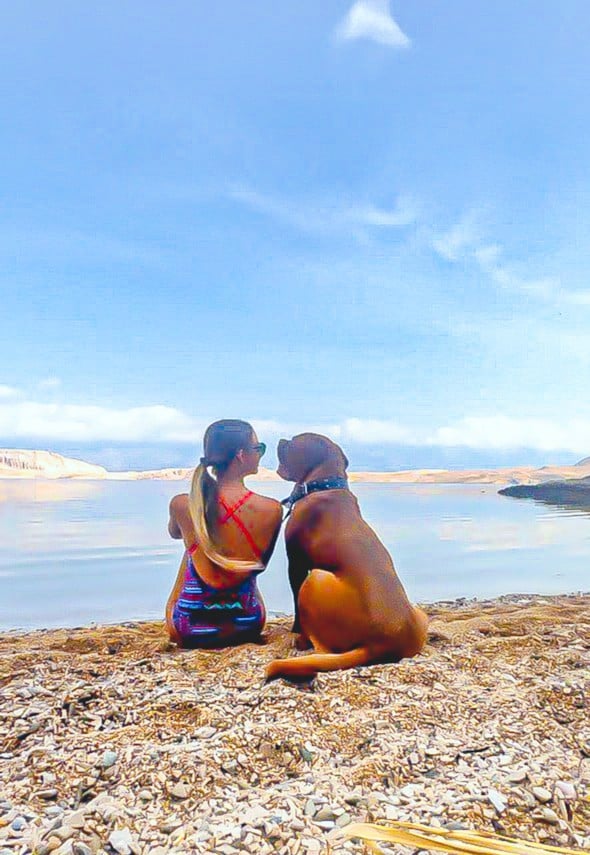 A person and their dog sit together by the water's edge, facing the calm, reflective surface of the sea. The sandy and rocky shoreline stretches along the coast, with gentle waves lapping at the shore. A clear sky creates a serene backdrop.