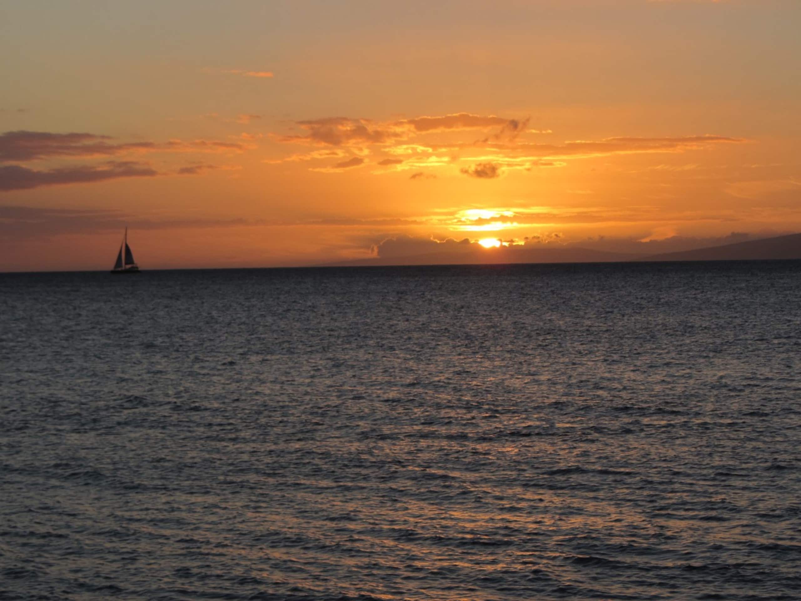 Condo in Lahaina · ★4.96 · 1 bedroom · 1 bed · 1 bath - Image 28