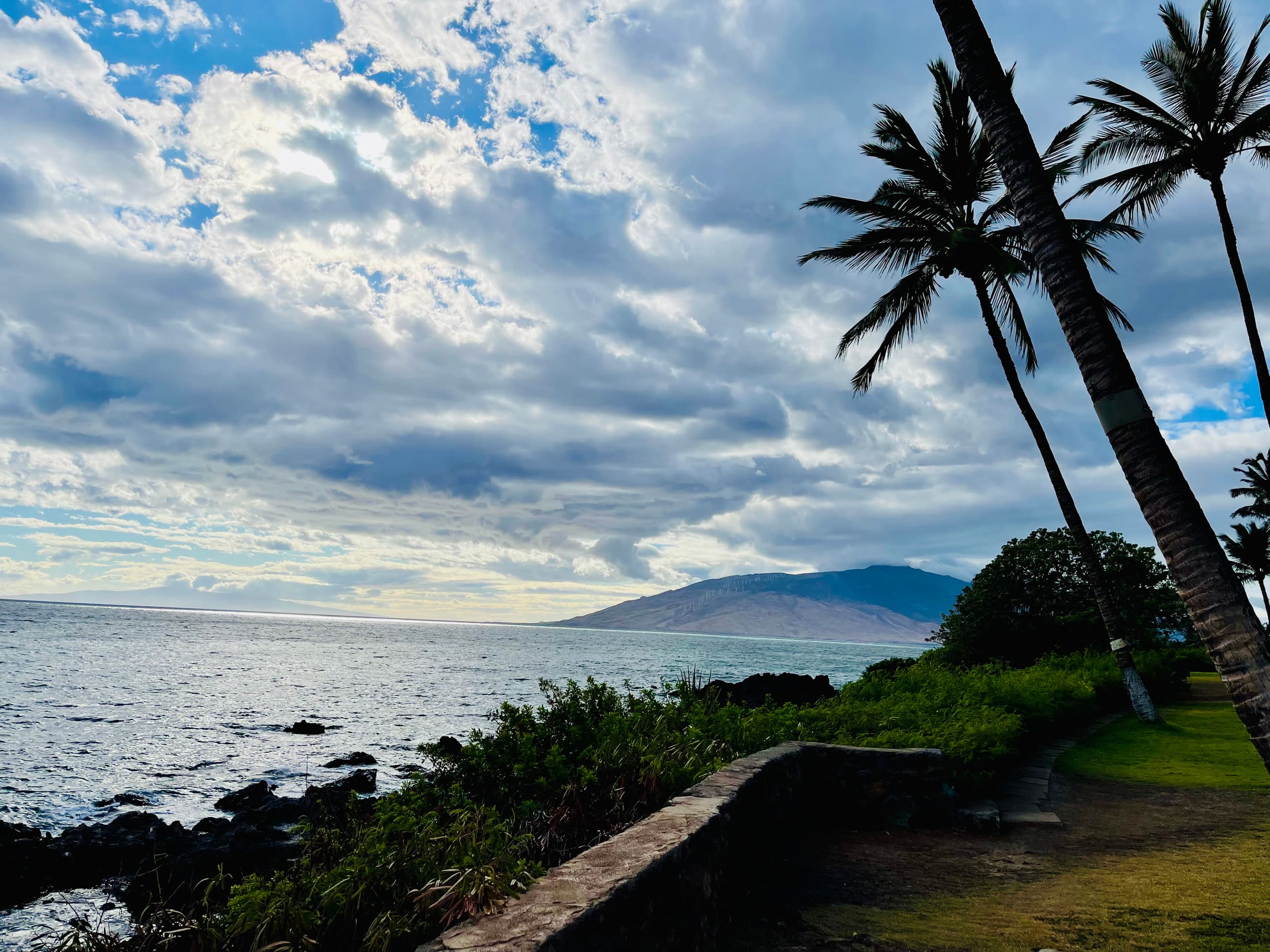 Condo in Kihei · ★4.92 · 1 bedroom · 2 beds · 1 private bath - Image 56