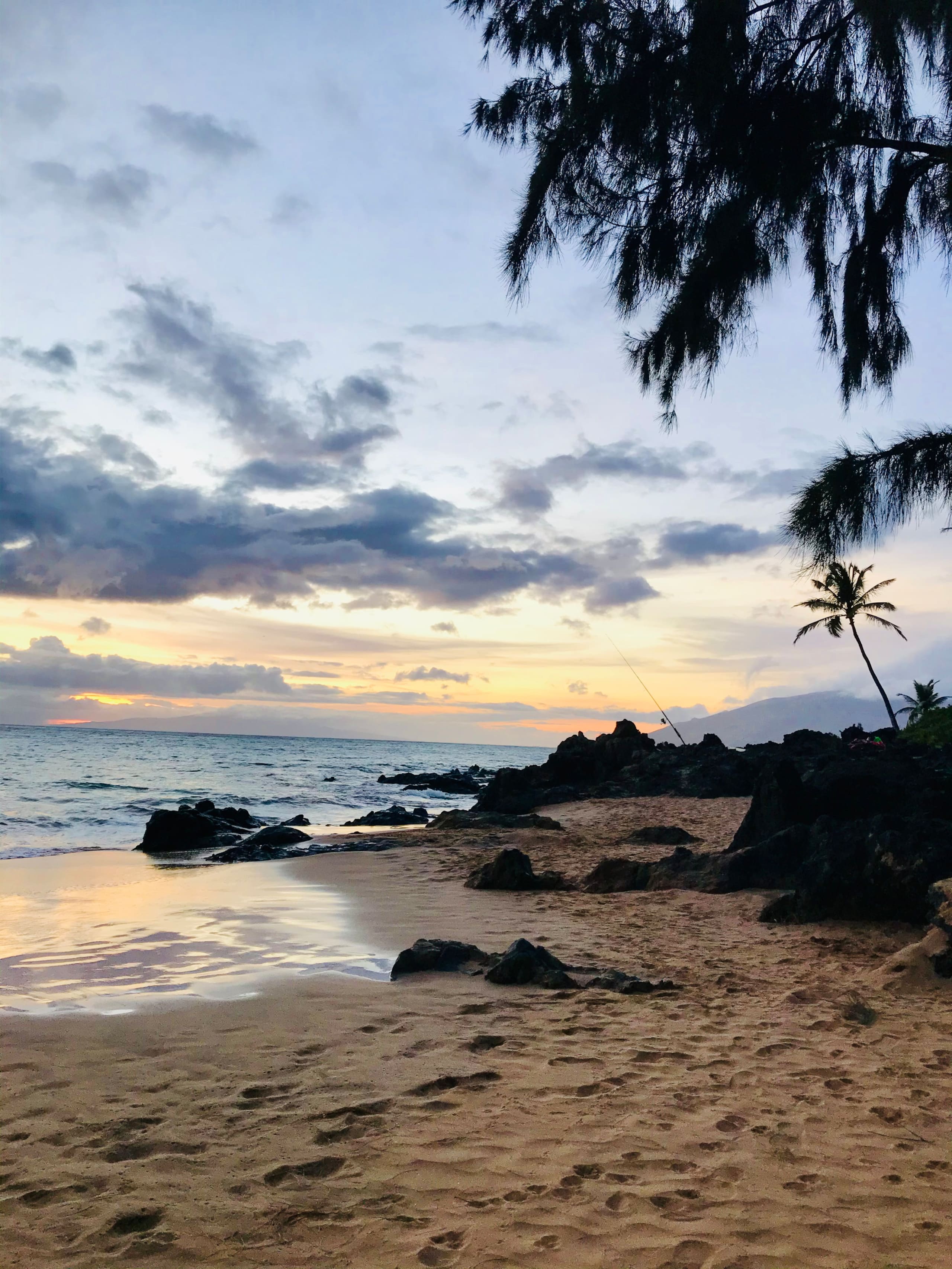 Condo in Kihei · ★4.92 · 1 bedroom · 2 beds · 1 private bath - Image 42