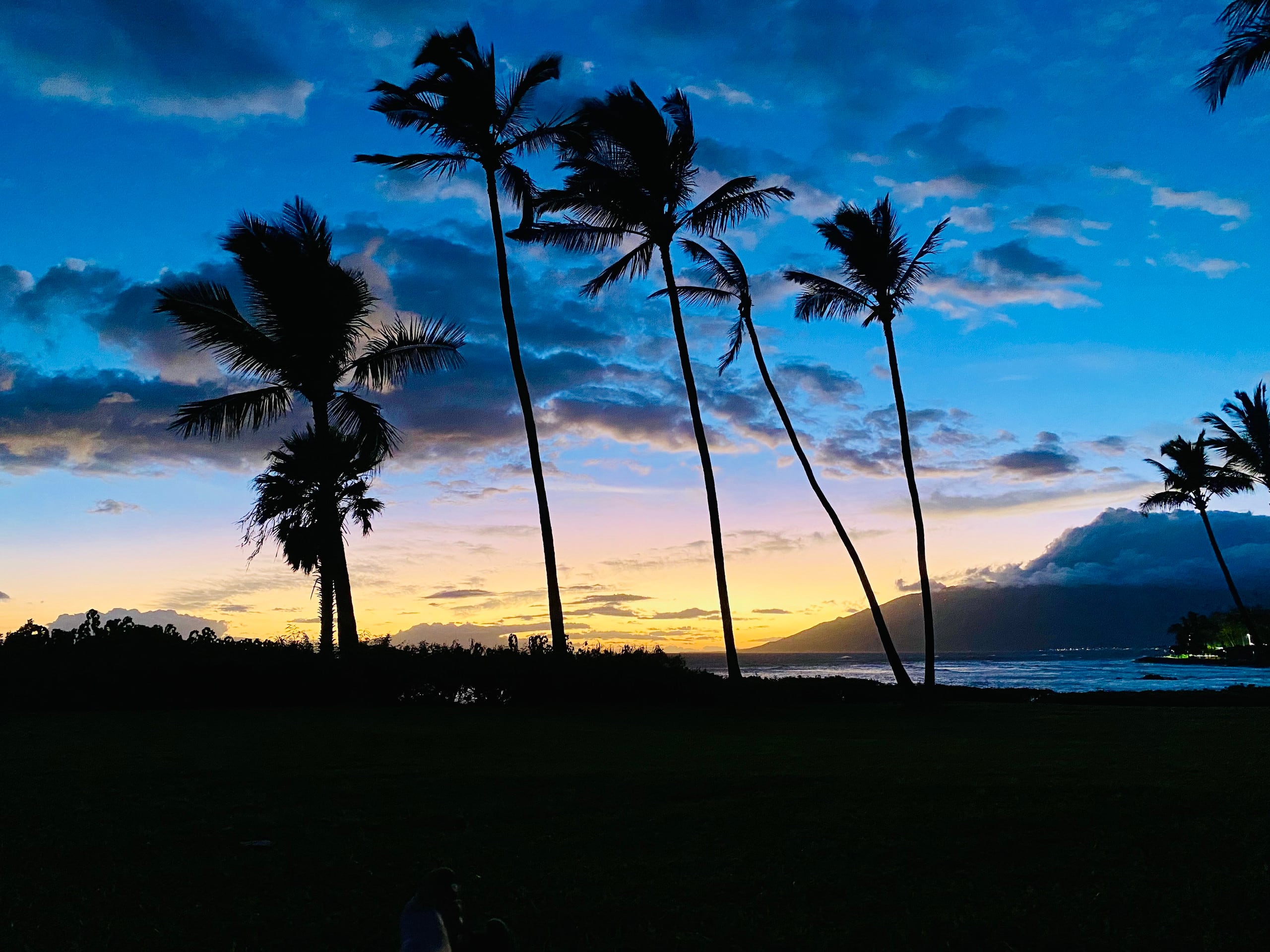Condo in Kihei · ★4.92 · 1 bedroom · 2 beds · 1 private bath - Image 49