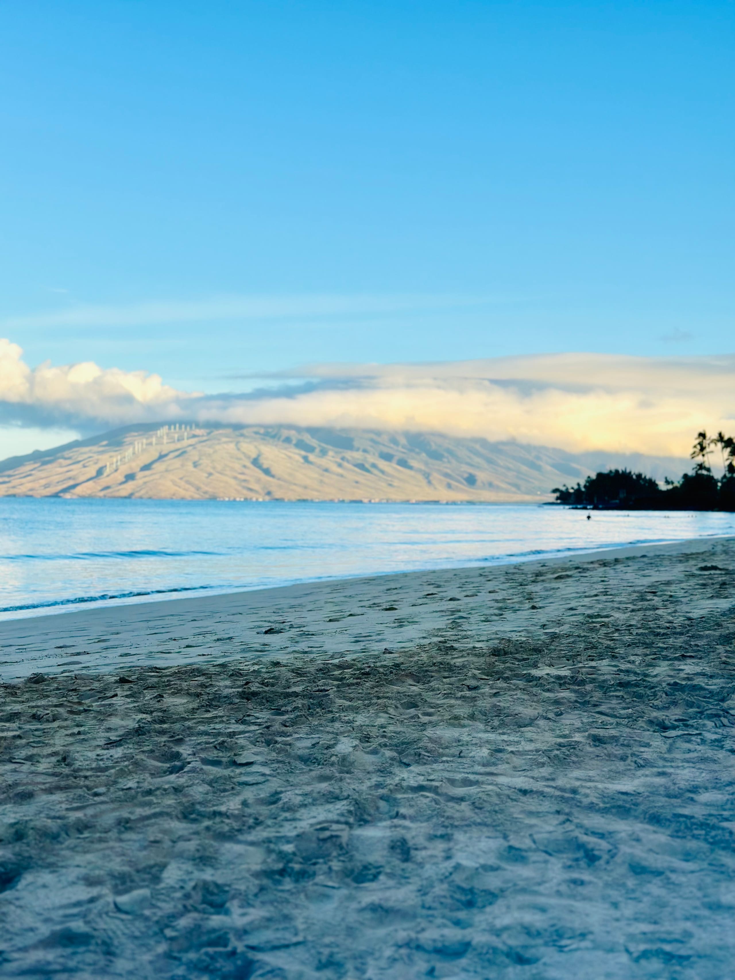 Condo in Kihei · ★4.92 · 1 bedroom · 2 beds · 1 private bath - Image 52
