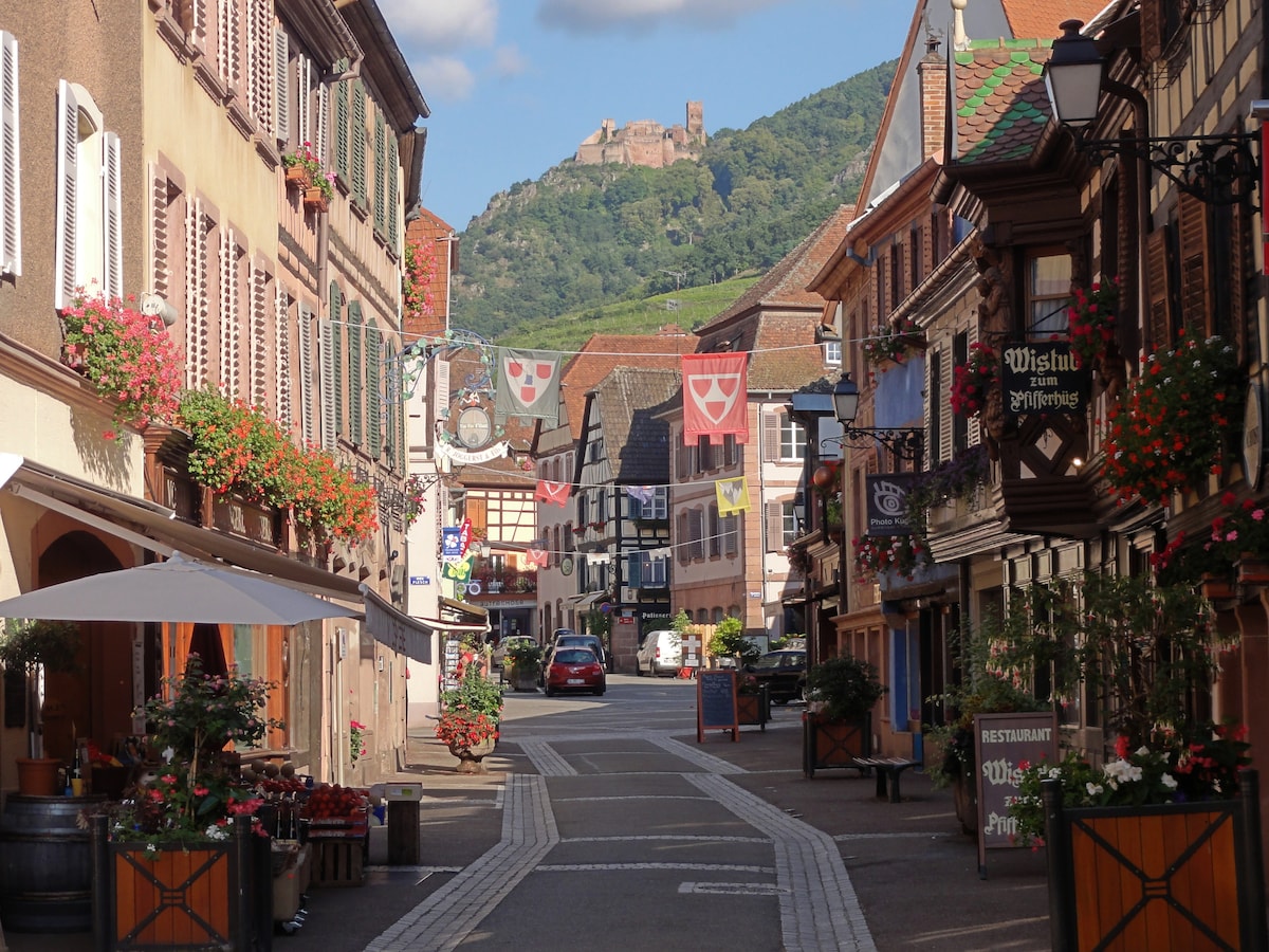 A charming street is lined with traditional buildings adorned with flower boxes. Stands of colorful flags and banners hang above the road. In the backdrop, a castle is perched on a hill, with vibrant greenery surrounding the area, creating a picturesque scene.