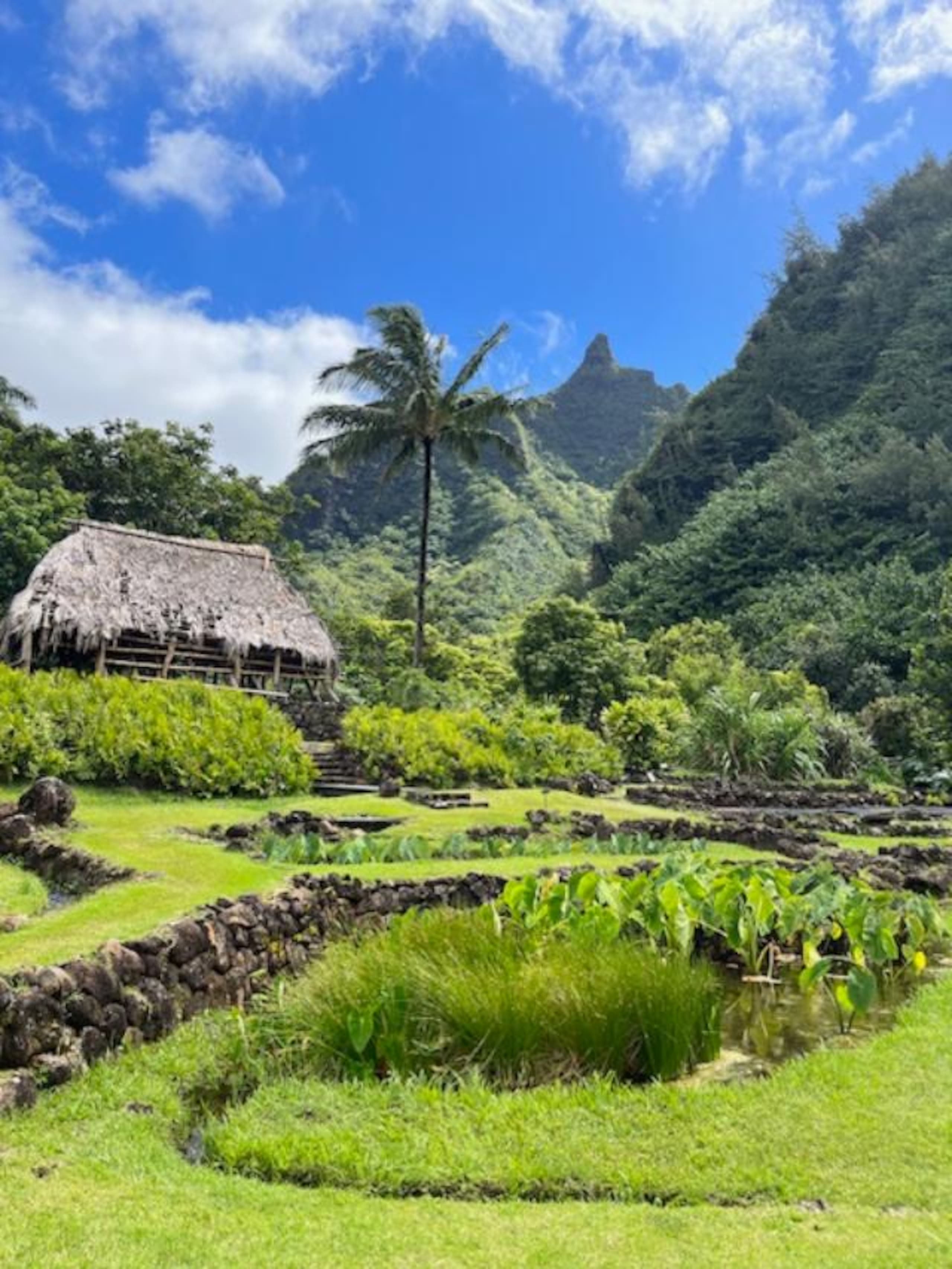 1 BR condo, Princeville, Kauai - Image 26