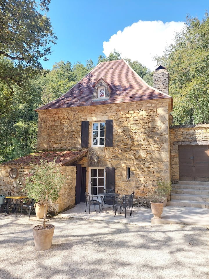 Le Cosse, exceptional view, quiet, close to Sarlat