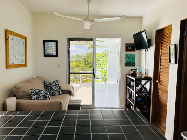 Villa Tessa Rose -Ocean And Mountain Views - Vieques