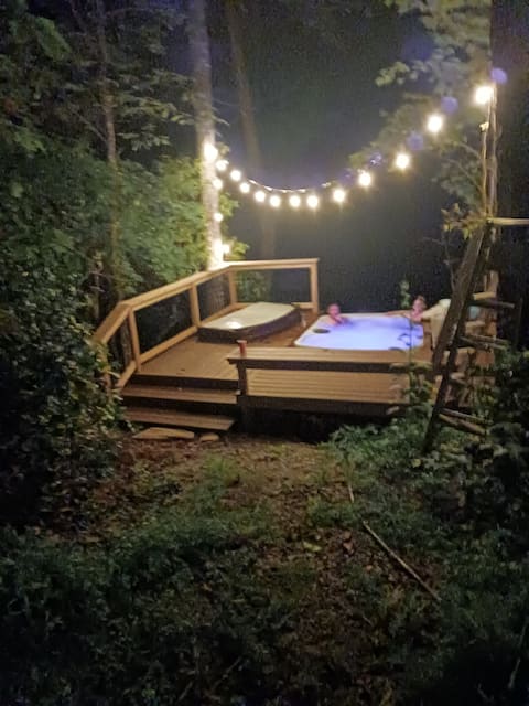 Mountain Retreat/NC Gorges State Park/Brevard/EV-2