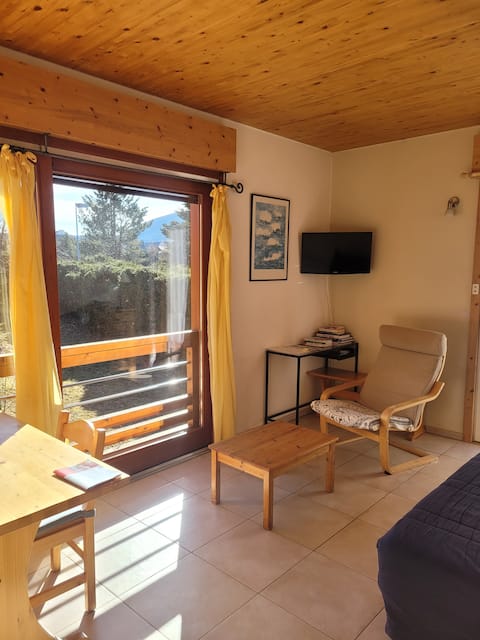 Successful Airbnb property: Pleasant apartment in Villard de Lans in Villard De Lans