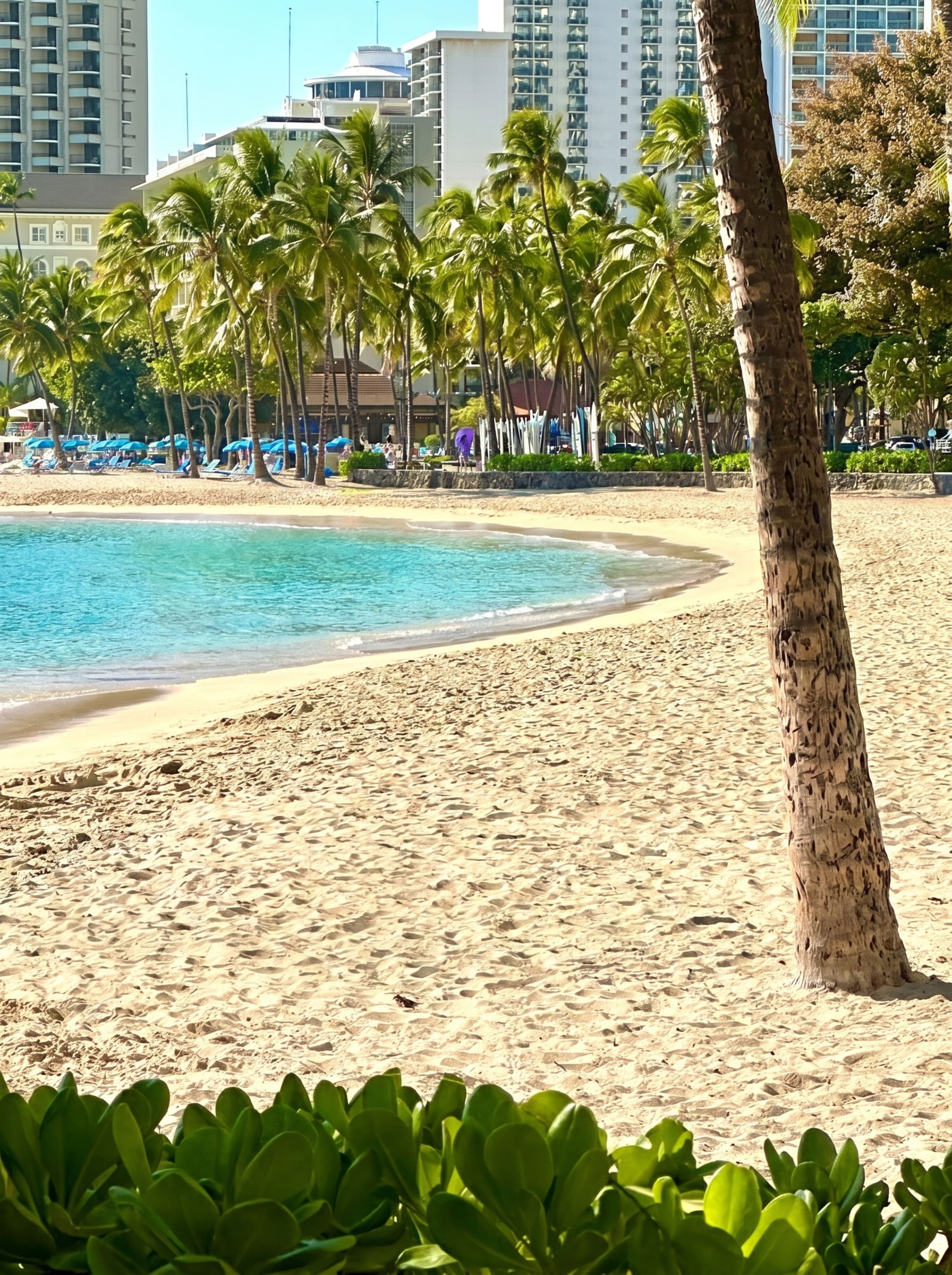 Condo in Honolulu · ★4.9 · 1 bedroom · 3 beds · 1 bath - Image 34