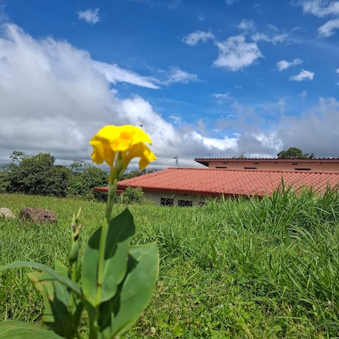Relax and unwind at Noelle's House-Boquete.