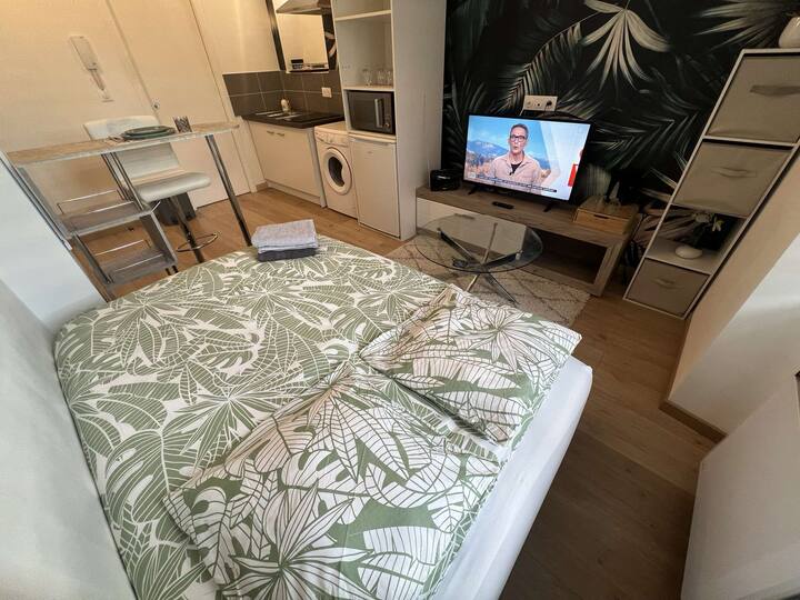 Agréable Studio De Standing En Centre-ville - Chambéry