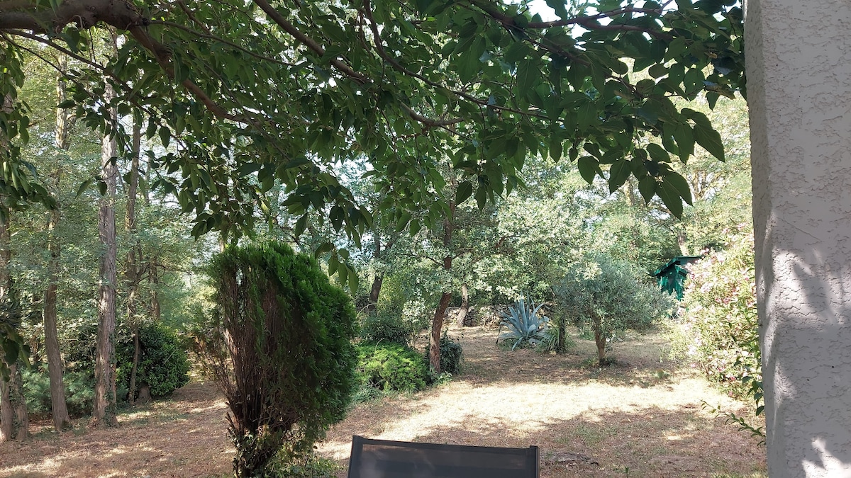 A serene view of a spacious garden reveals a lush canopy of trees and scattered greenery. The area is characterized by a variety of plants with a focus on natural textures. Sunlight filters through the leaves, creating a peaceful atmosphere for relaxation.