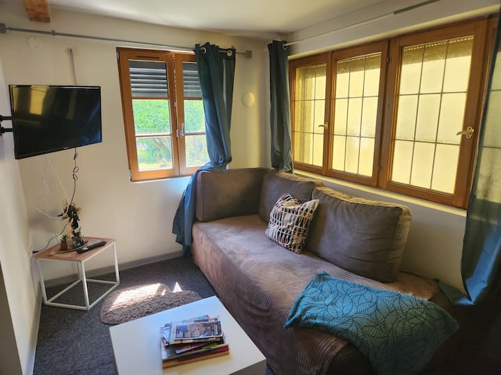 Logement Proche Strasbourg Tram 2min - Ostwald