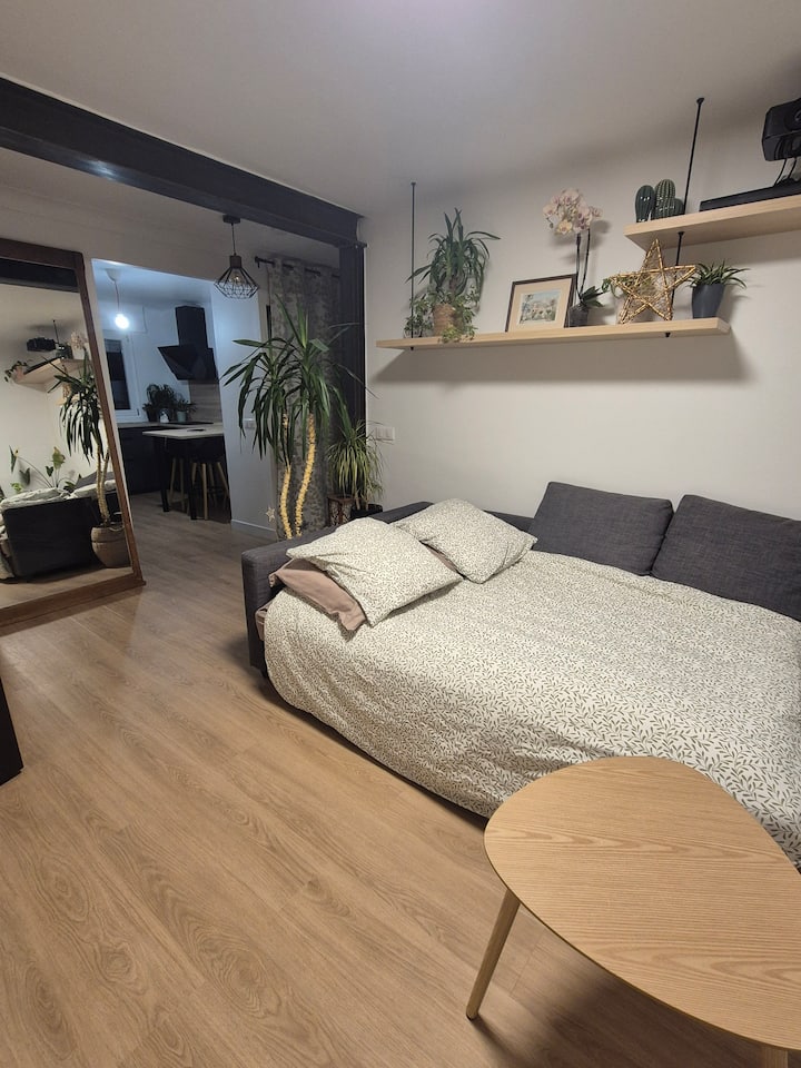 Colmar Appart Idéal Famille 6 Pers Garage+balcon - Colmar