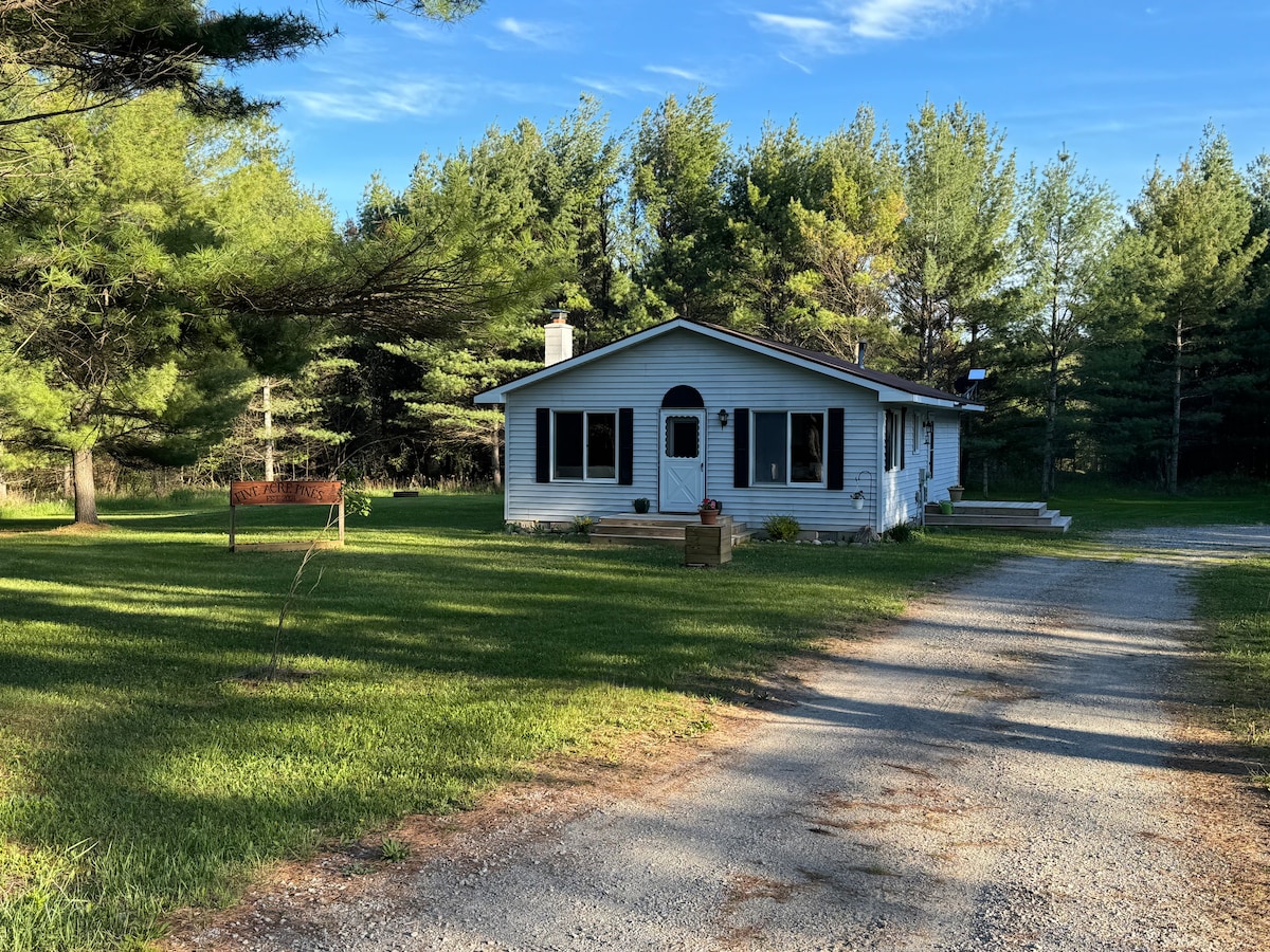 A single-story home is set within a spacious yard, surrounded by tall pine trees. A gravel driveway leads to the entrance, highlighting the vast greenery. The house features multiple windows, allowing ample natural light, while the porch area provides an inviting entry point.