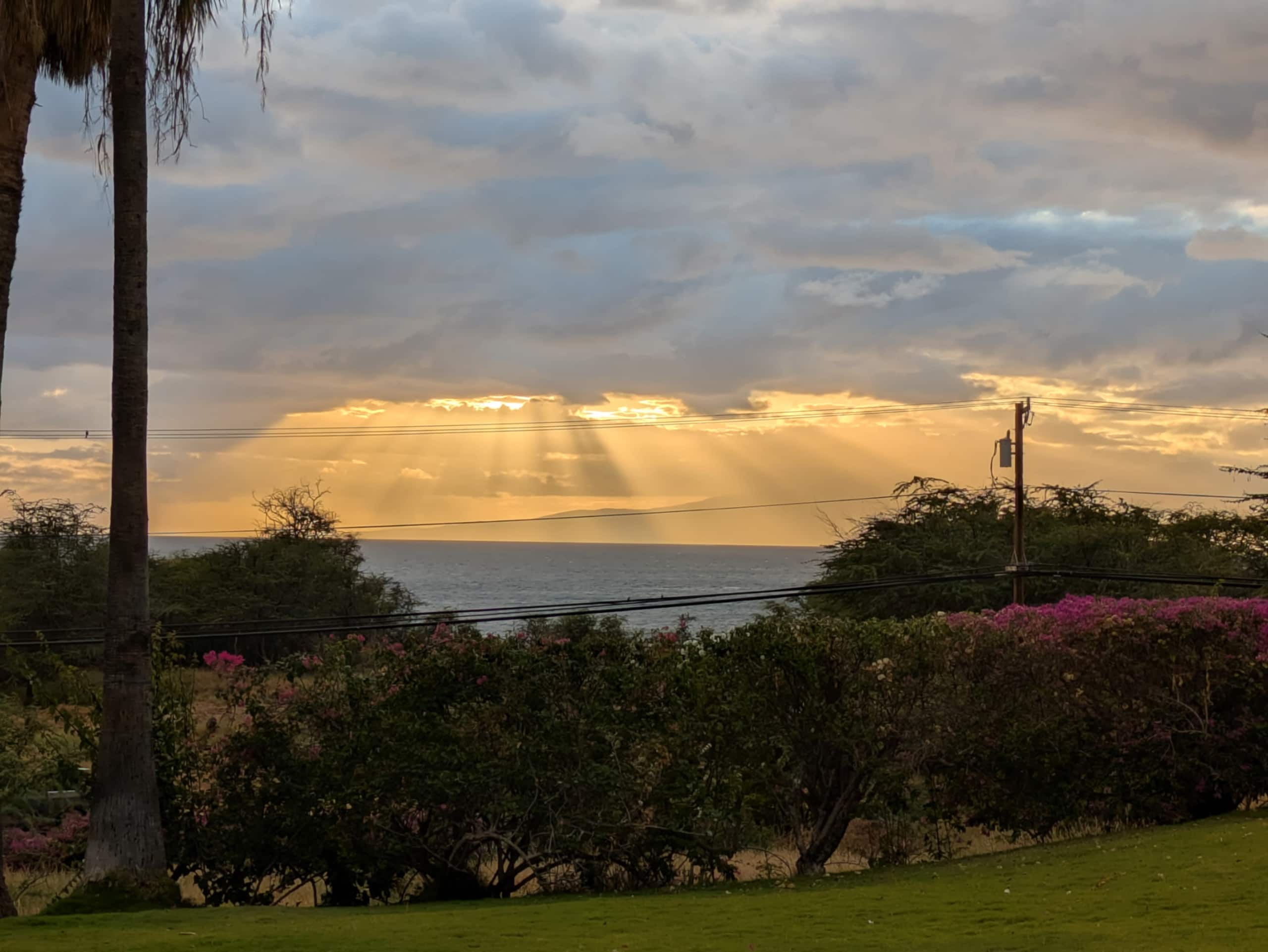 Condo in Kihei · ★5.0 · 2 bedrooms · 3 beds · 1 bath - Image 15