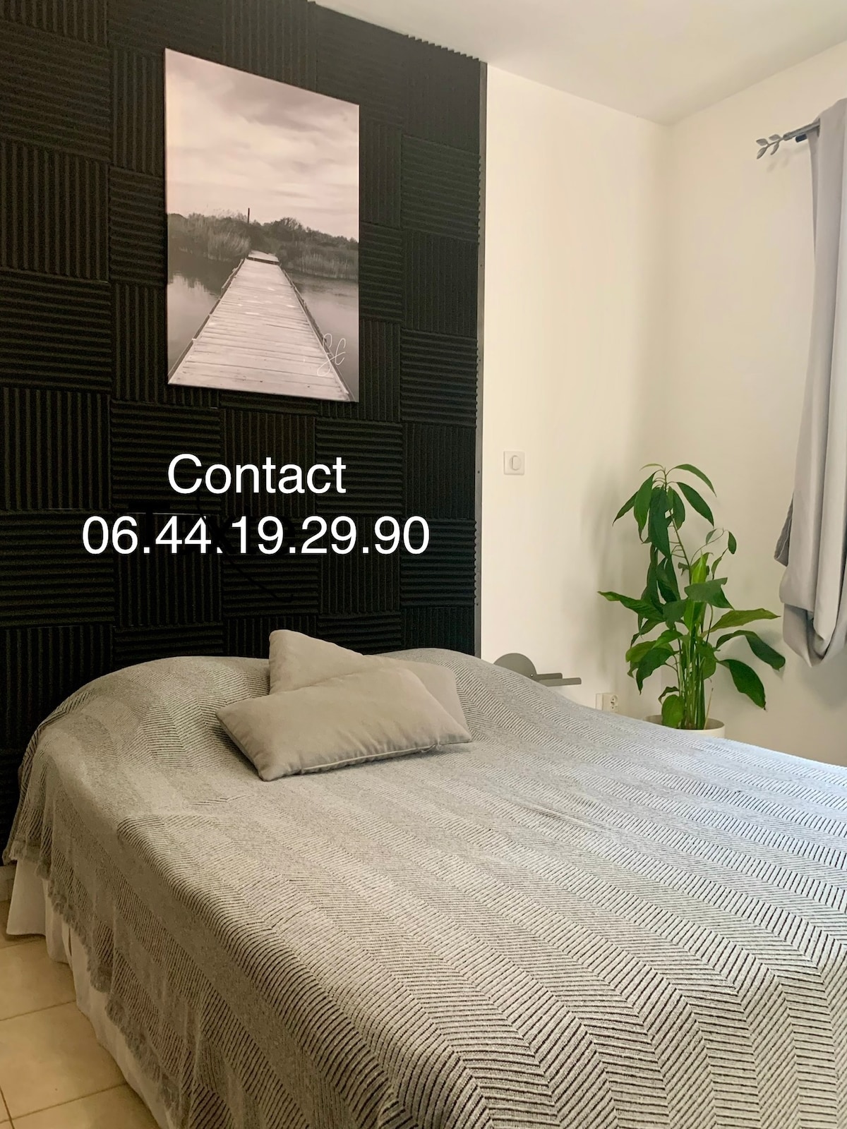 A spacious bed is positioned against a textured black feature wall. A simple gray blanket covers the bed, with a decorative pillow placed at the head. A green potted plant adds a touch of nature, while a black-and-white photograph of a pathway hangs above.