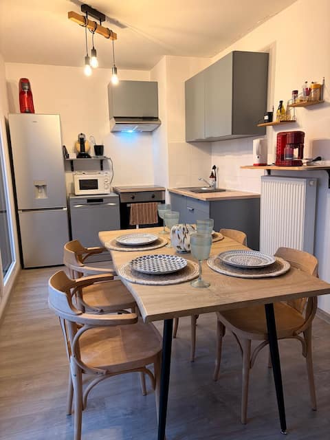 Apartment 4P Lille 5min Metro T1 2Ch+SDB