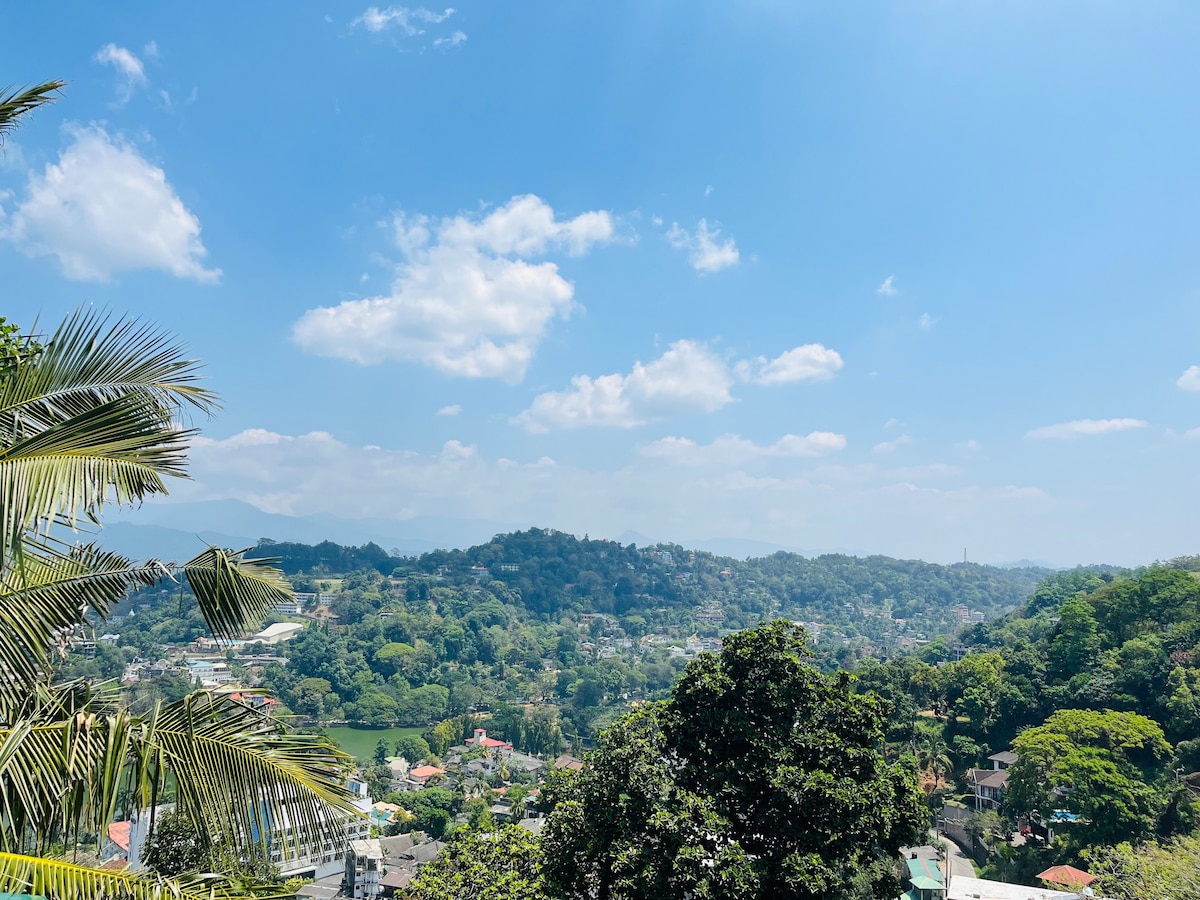 A panoramic view of Kandy City is displayed, featuring lush green hills and a clear blue sky. Palm leaves frame the image, while the vibrant landscape includes distant buildings and trees, creating a serene atmosphere. The scene captures the tranquility and natural beauty of the surroundings.