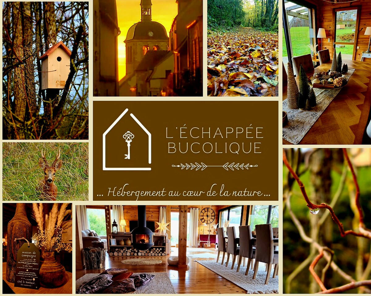 A collage of images depicts natural surroundings and cozy interiors. The upper section features a charming birdhouse and a view of autumn leaves. A rustic dining table with decor is shown, alongside a deer in the woods and a cozy fireplace set within a wooden interior.