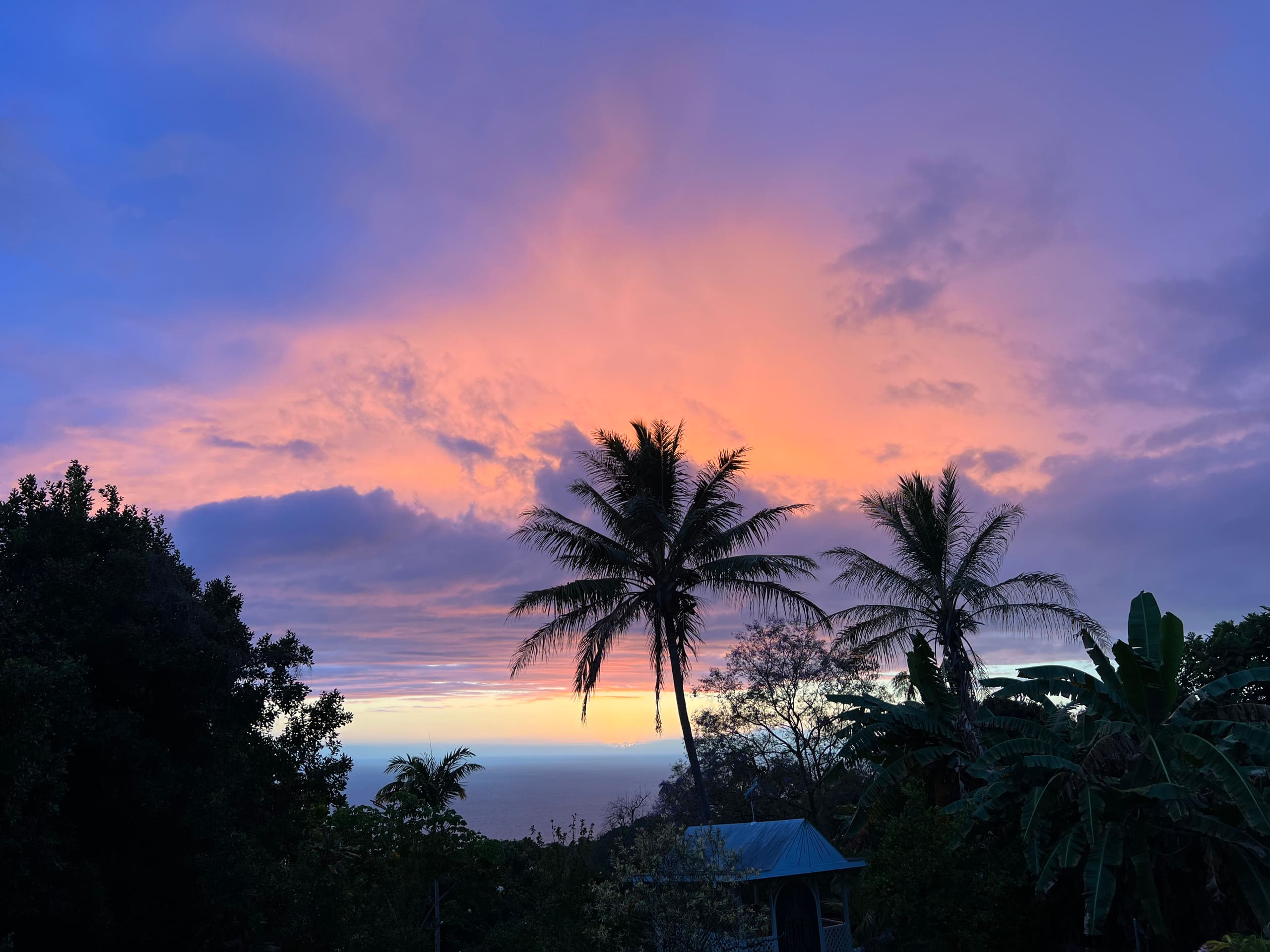Place to stay in Kealakekua · ★4.95 · 1 bedroom · 1 bed · 1 bath - Photo 11