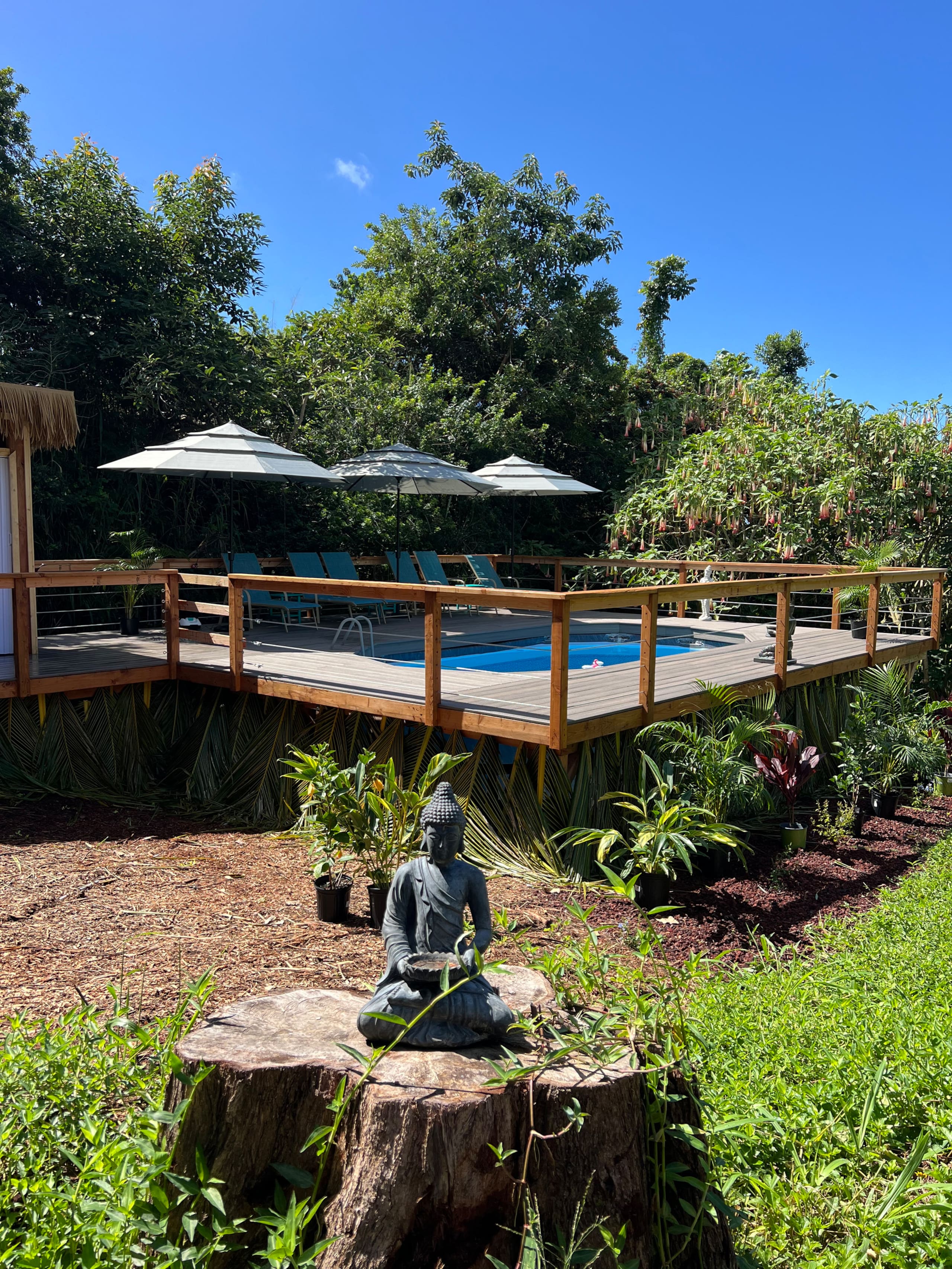 Place to stay in Kealakekua · ★4.95 · 1 bedroom · 1 bed · 1 bath - Photo 17