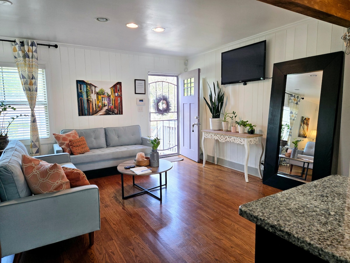 Top performing Airbnb: Close to D'town+Airport/Quiet Street/PETS OK! in Candler Mc Afee