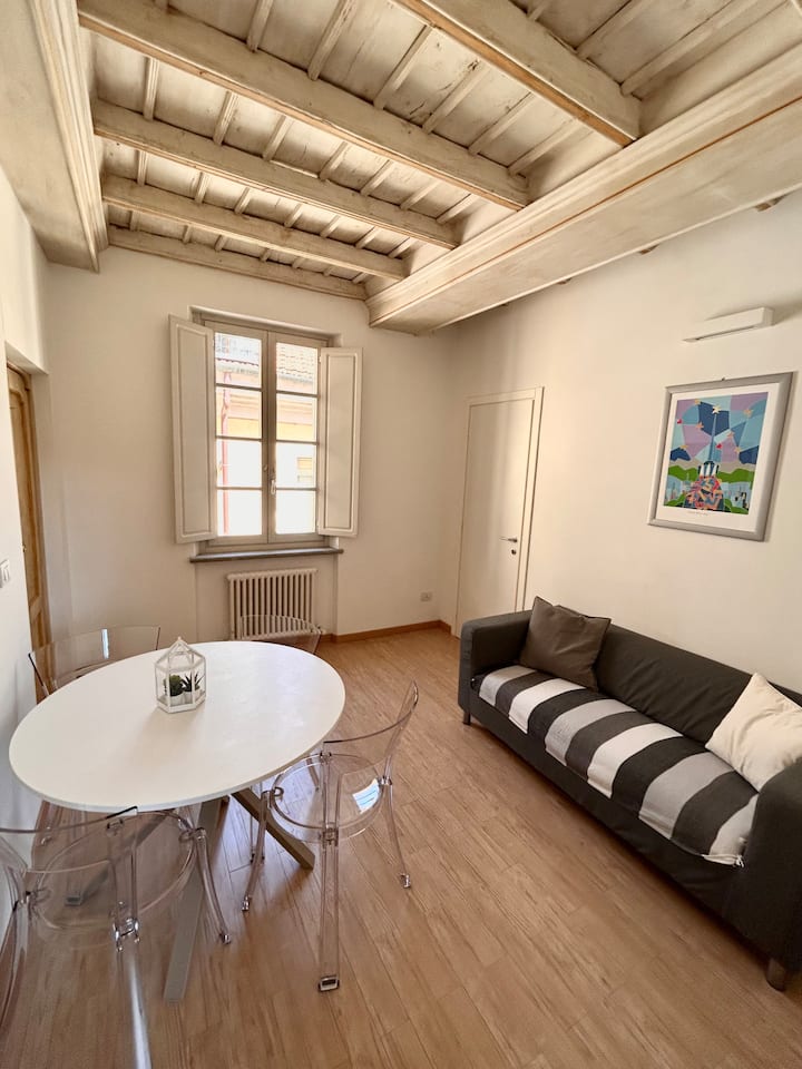 Appartamento In Pieno Centro - Turin