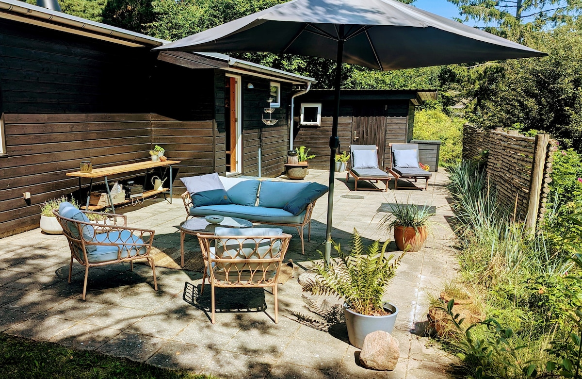 A spacious outdoor patio features a comfortable seating area with a blue couch and two lounge chairs, shaded by a large umbrella. Potted plants add greenery, enhancing the serene environment. The area is surrounded by lush foliage, creating a secluded retreat.
