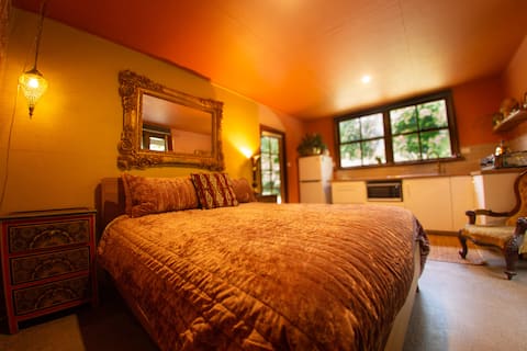 Tranquil Rainforest Studio