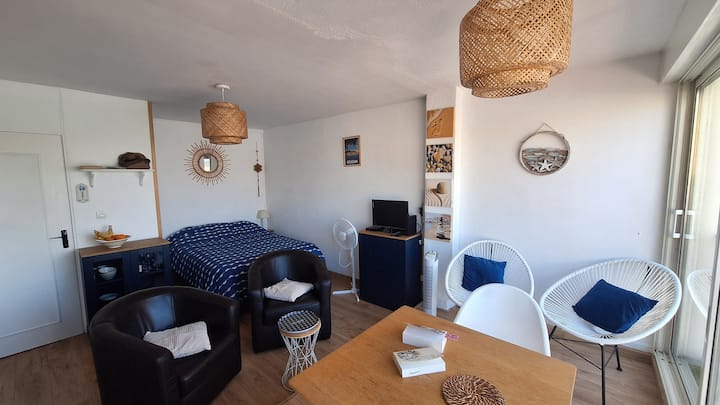 Studio Climatisé Magnifique Vue Sur Le Port Wifi - Gruissan