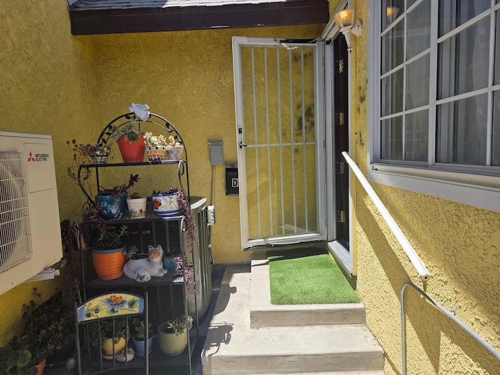 Oak Tree House (La Casa Del Roble) - 치노