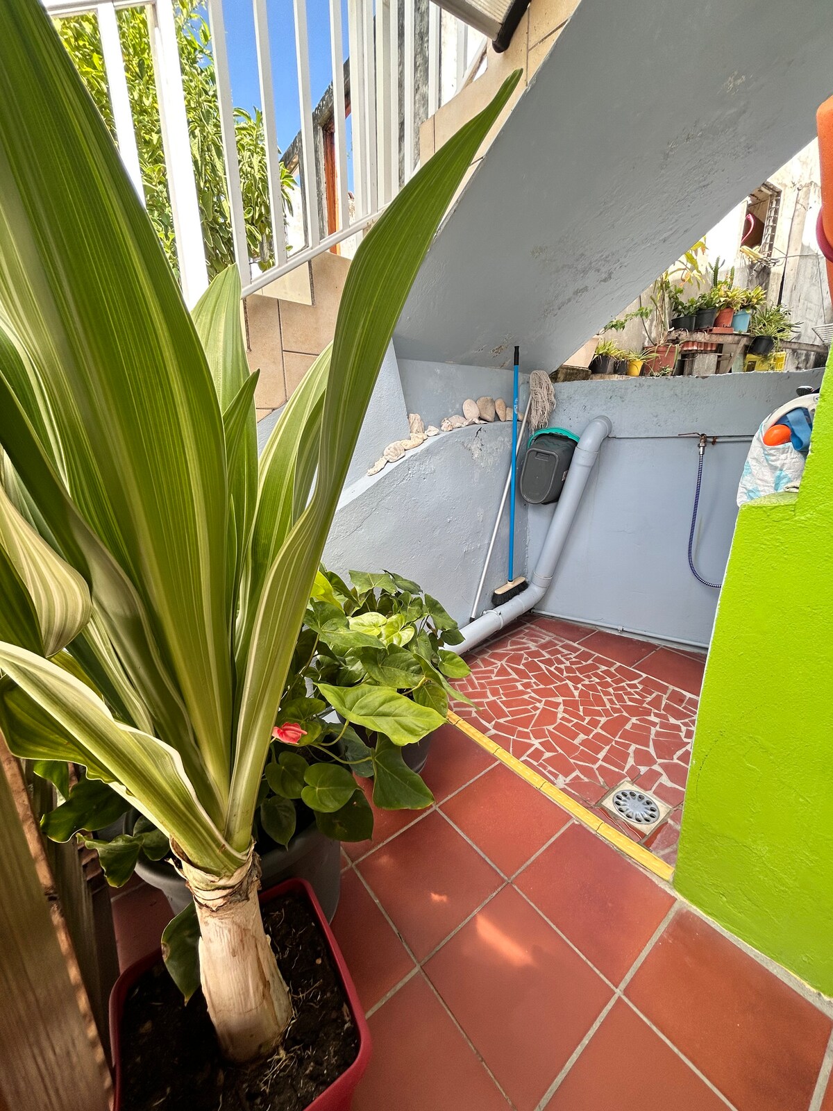A corner of the outdoor area is depicted, showcasing vibrant green plants alongside colorful tiles. A narrow, tiled pathway leads to a staircase, framed by lush foliage and a wall adorned with potted plants. A water hose is visible along the wall, adding a functional aspect to the space.