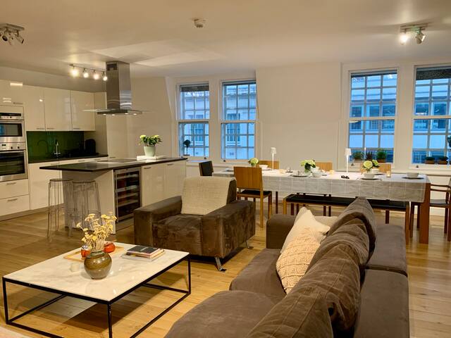 Central London Penthouse with Roof Terrace gallery image 3