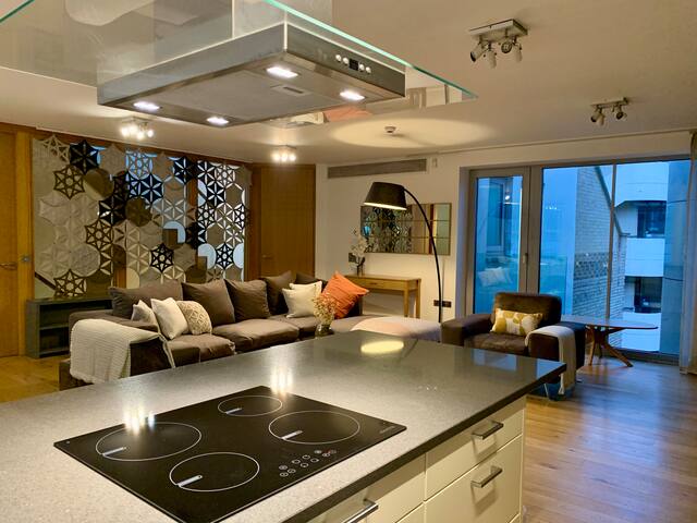 Central London Penthouse with Roof Terrace gallery image 2