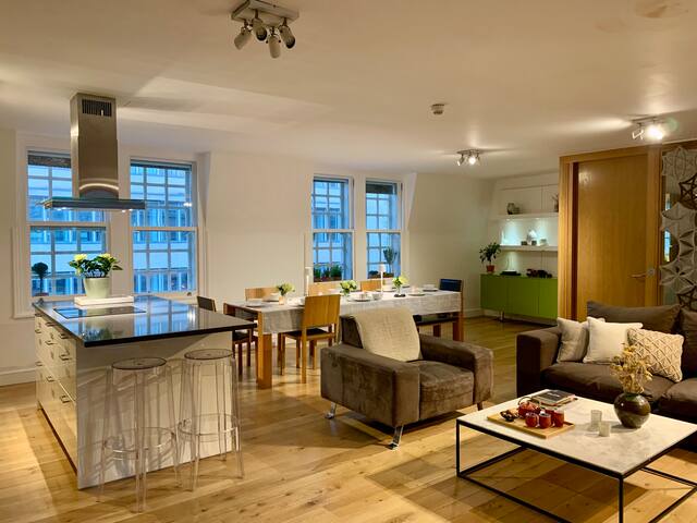 Central London Penthouse with Roof Terrace gallery image 4