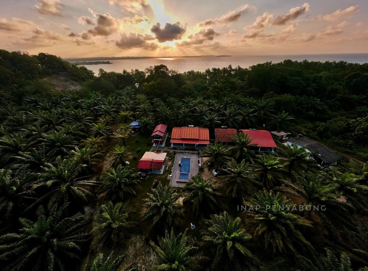 An aerial view captures a lush green landscape filled with palm trees, surrounding a spacious property. The building features red roofs, a private pool, and is nestled near the coastline, with the setting sun casting a warm glow over the scene.