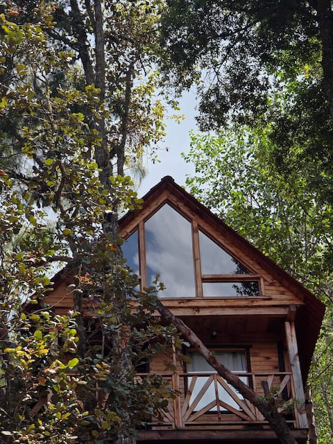 "The Whisper of the Forest" Cabin 4