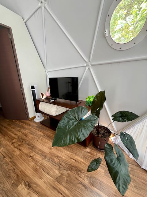 Successful Airbnb property: Domo Star View Glamping in Ajijic