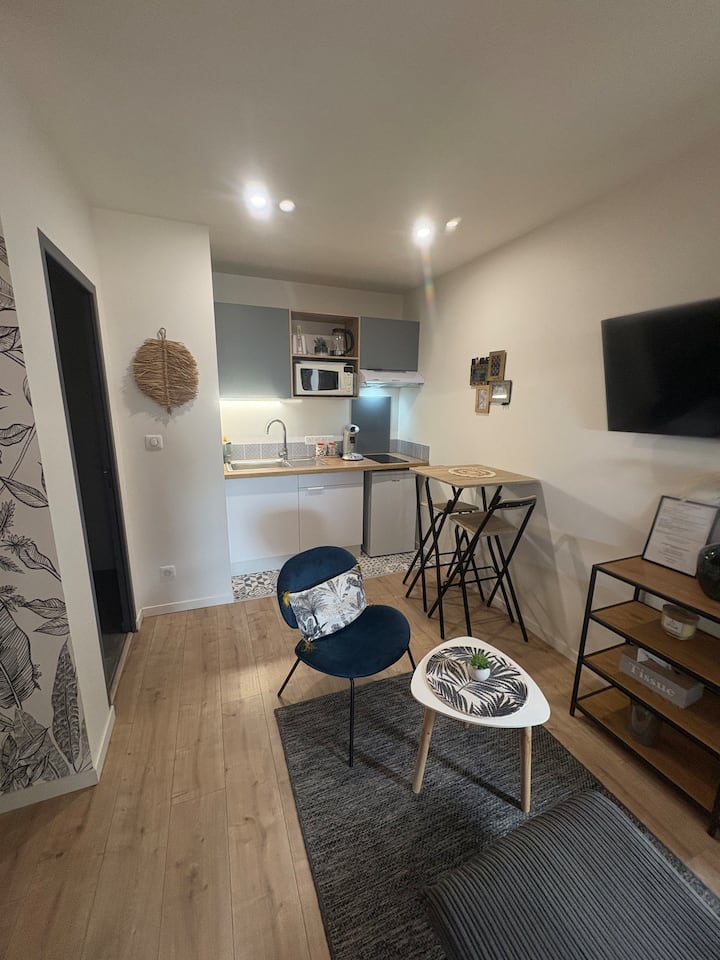 Studio Cosy Avec Piscine à Vue Panoramique - Albi