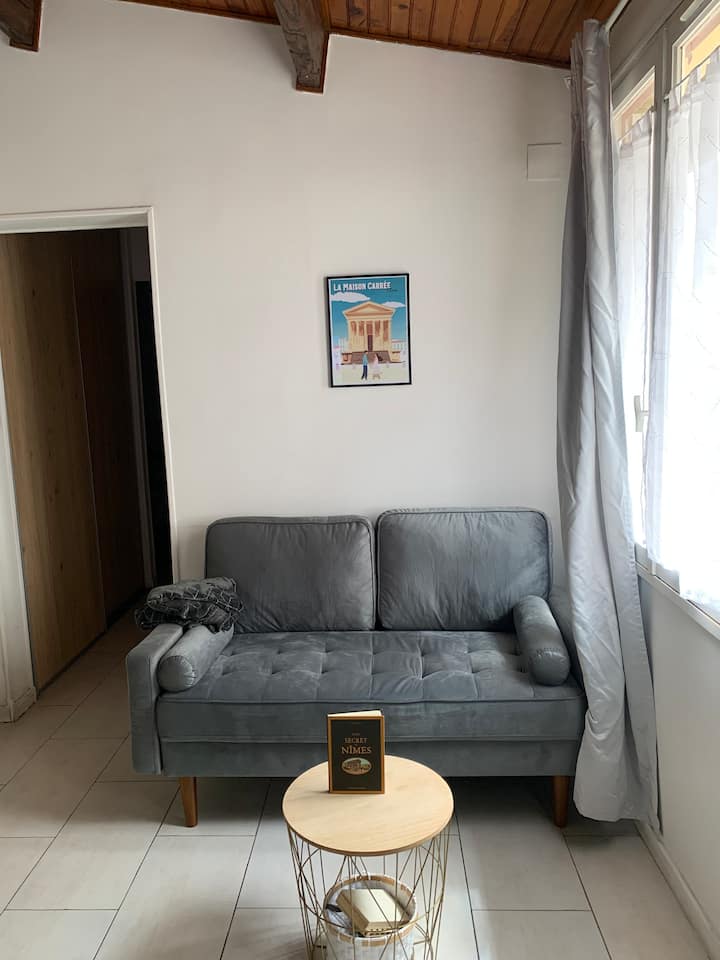 Nimes: Logement Entier Proximité Gare Et Du Centre - Nîmes