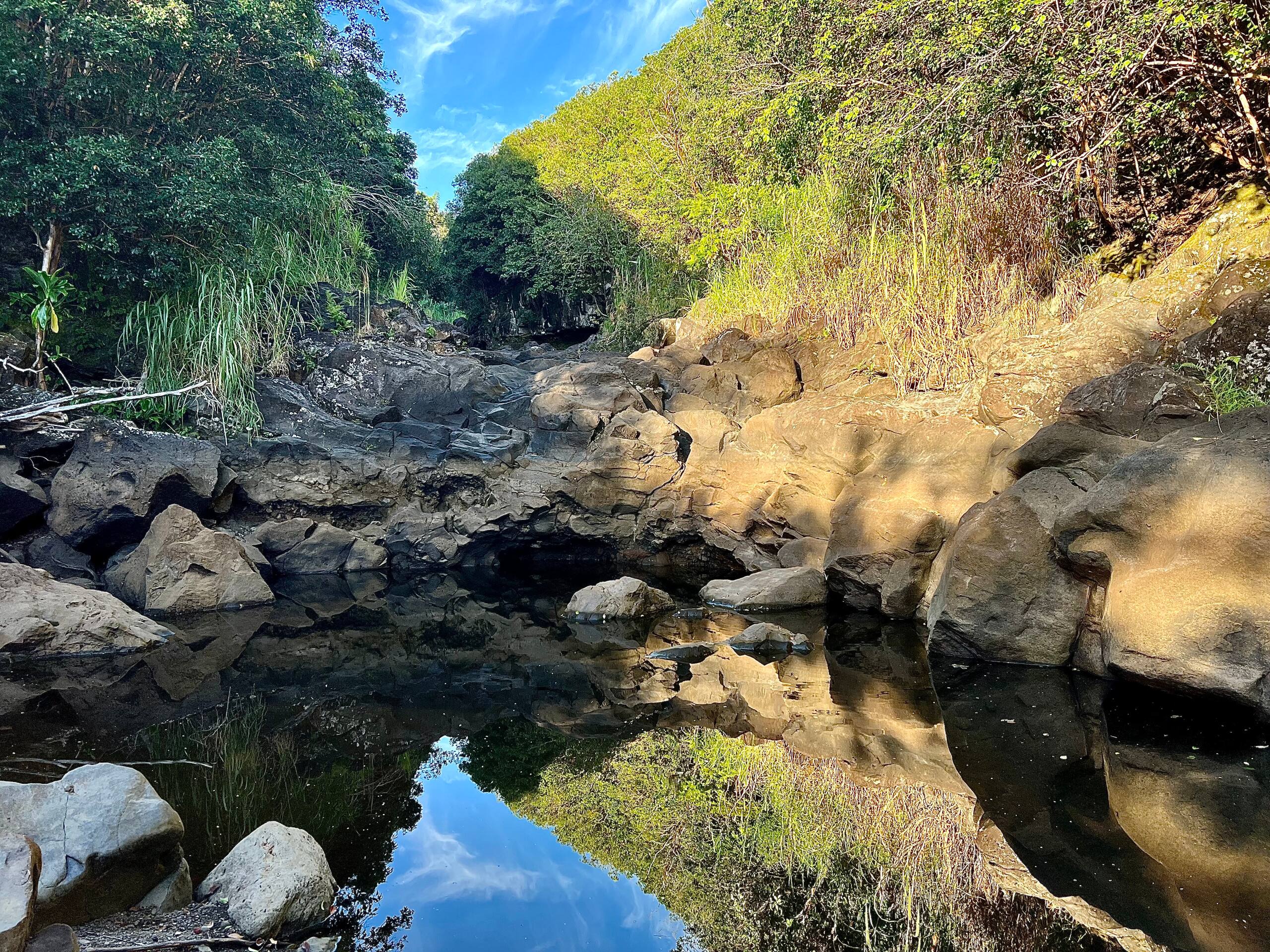 Aloha Nature Lovers - Photo 21