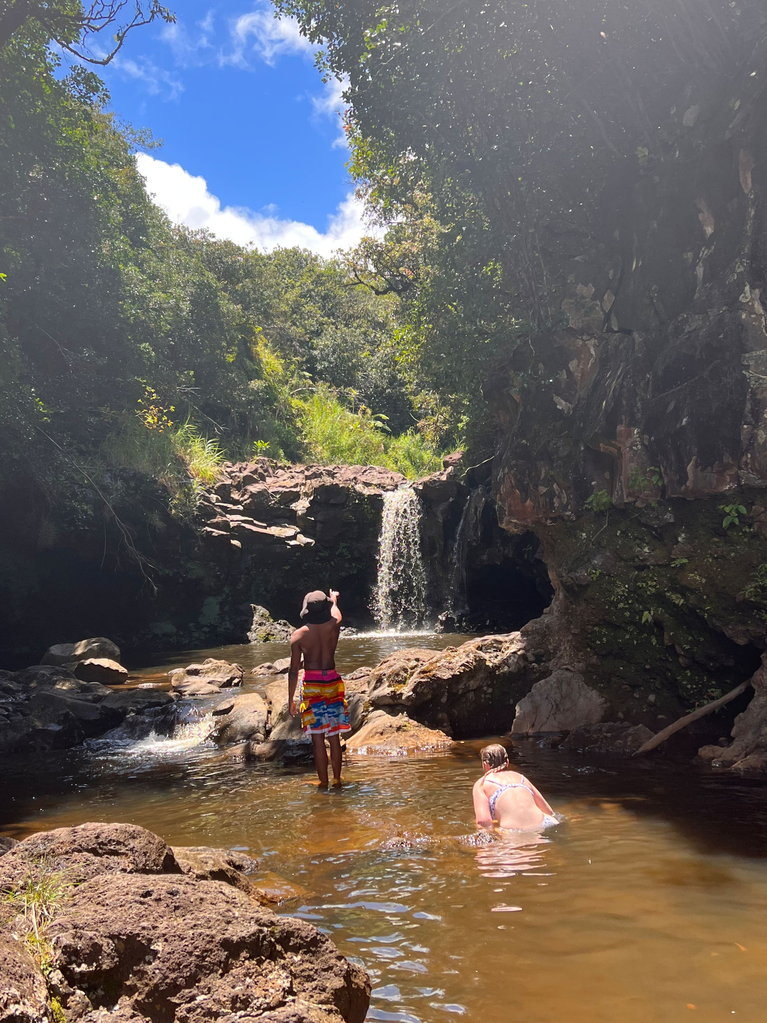 Aloha Nature Lovers - Photo 25