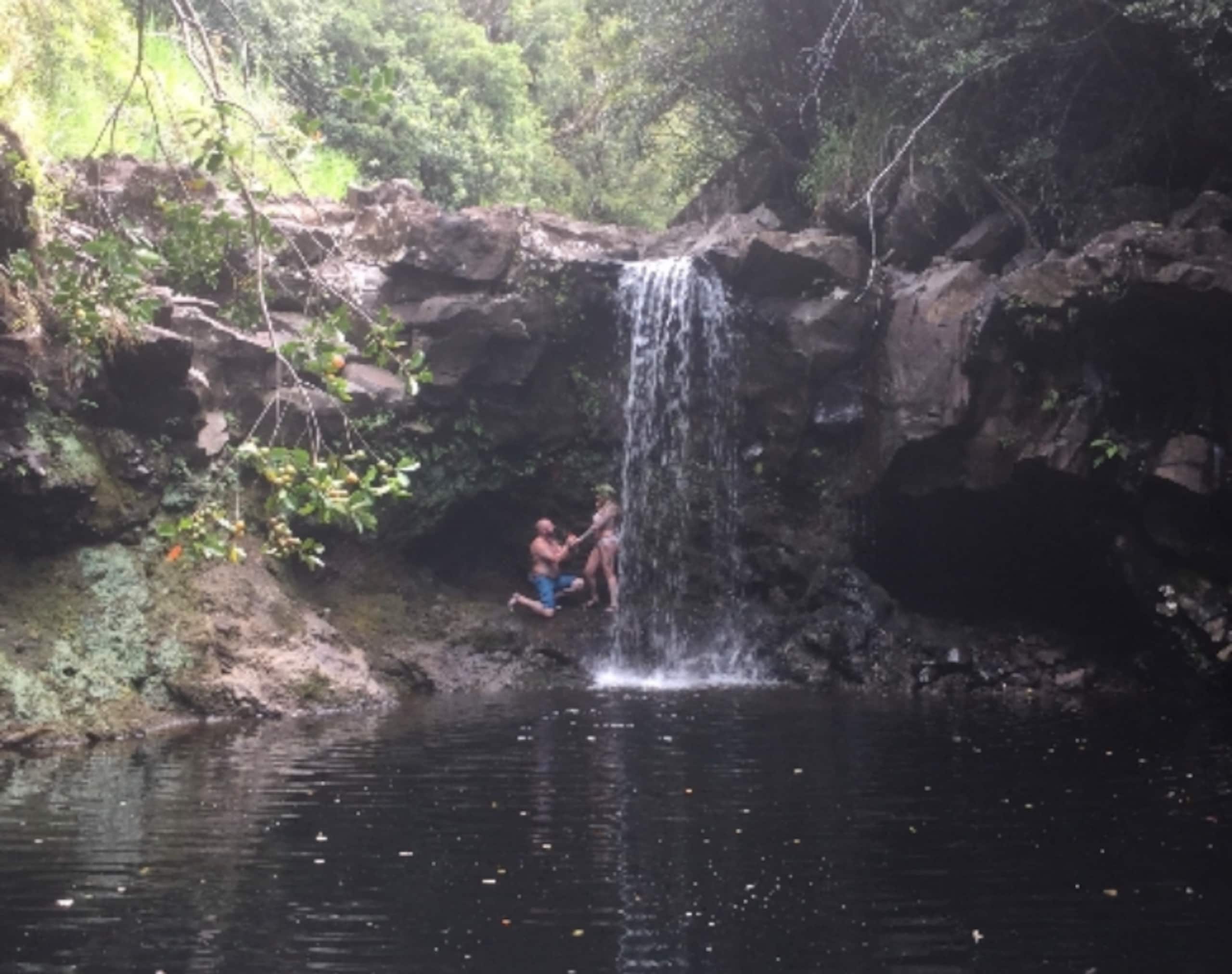 Aloha Nature Lovers - Photo 28