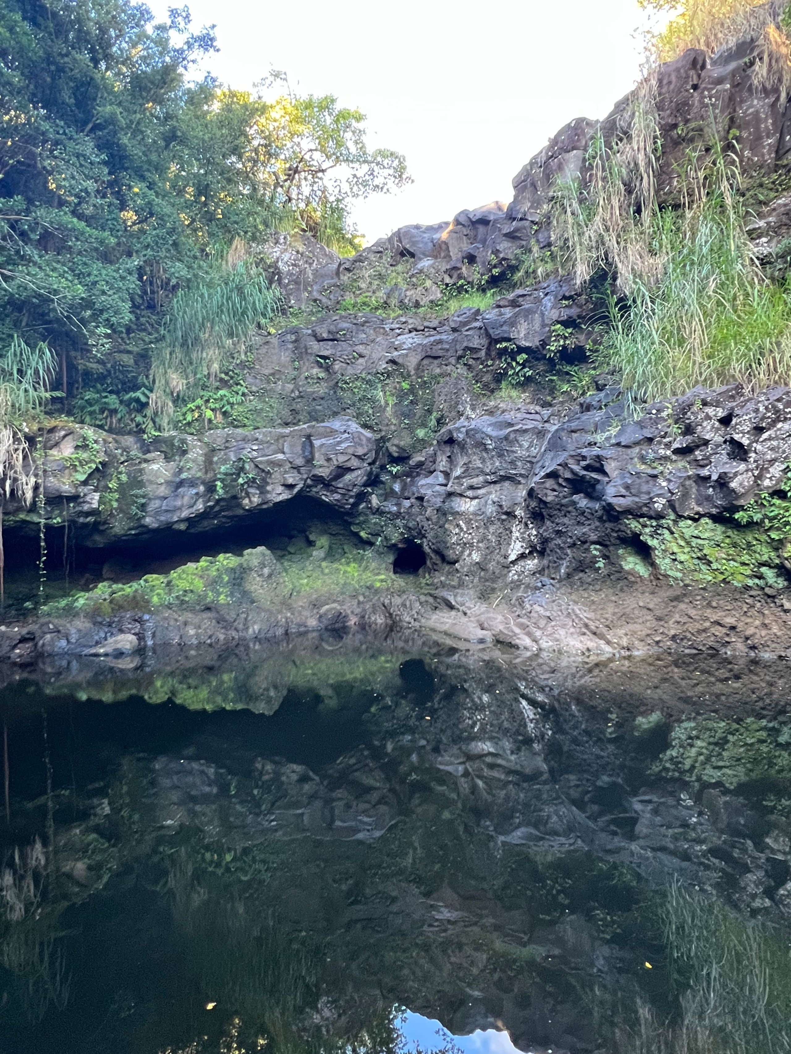 Aloha Nature Lovers - Photo 22
