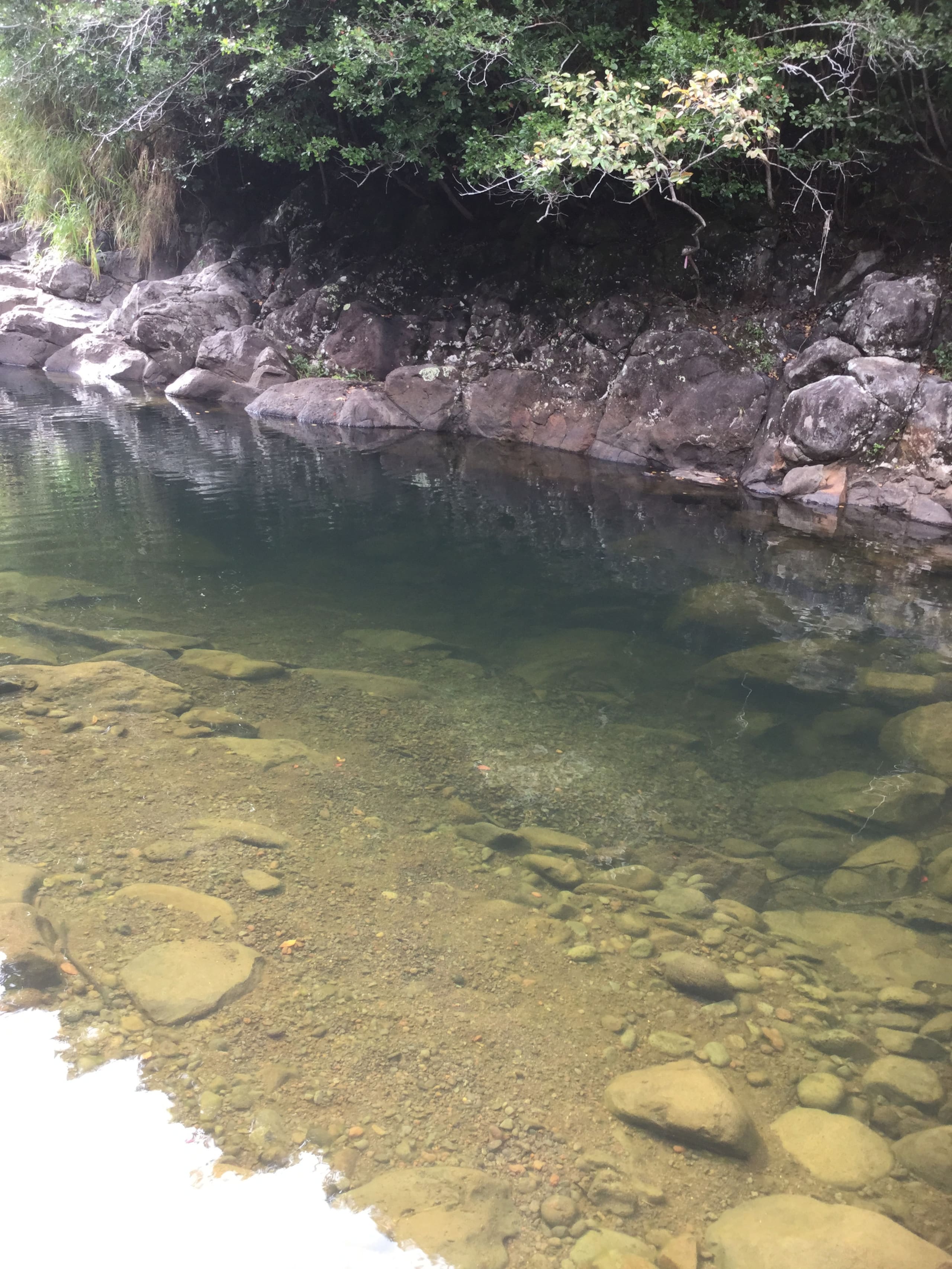 Aloha Nature Lovers - Photo 24